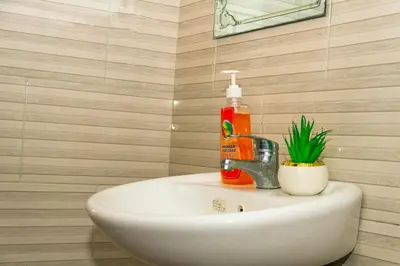 a bathroom sink with a bottle of soap and a plant at Neylisa Apartments in Arusha