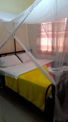 a bed with a canopy in a room at Arusha Sunbird Lodge in Arusha