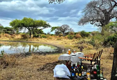 a table with bottles of alcohol sitting next to a river at Tarangire Greenland Retreat in Kaiti