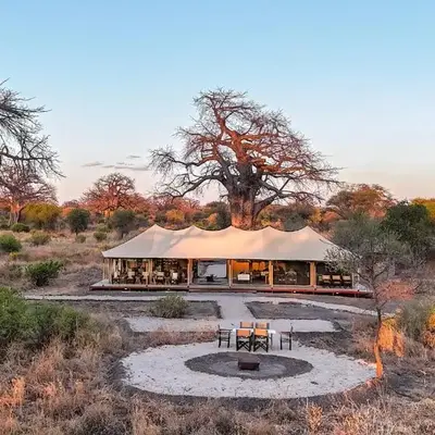 Tarangire Greenland Retreat