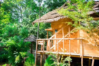 a wooden hut with a thatched roof at Amoy River Lodge in Moshi