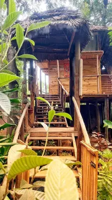 a wooden house with stairs in a forest at Amoy River Lodge in Moshi
