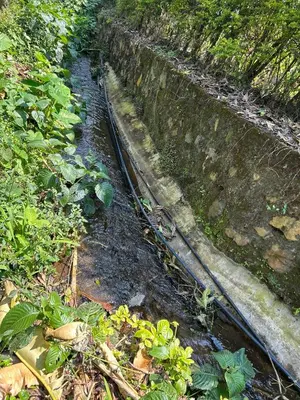 a train track next to a wall with plants at 1 Bedroom- Tranquil Meru Retreat in Nkoanrua
