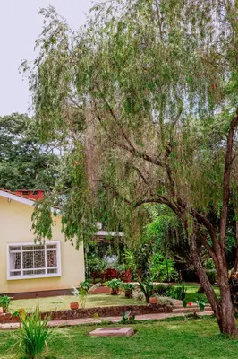 a house with a large tree in the yard at Avana Home in Arusha