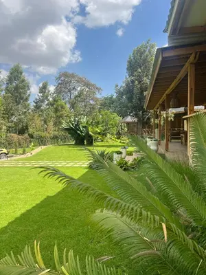 a yard with green grass and a house at Our Stay Mlima in Arusha