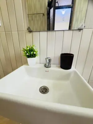 a bathroom sink with a mirror and a plant at Fatoosh Nest in Arusha