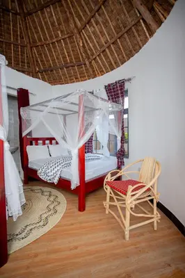 a bedroom with a canopy bed and a chair at Kilimanjaro Kwetu Homestay in Moshi
