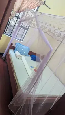 a bed with a net on top of it at Lake natron Naibala Bed&Breakfast in Mtowabaga