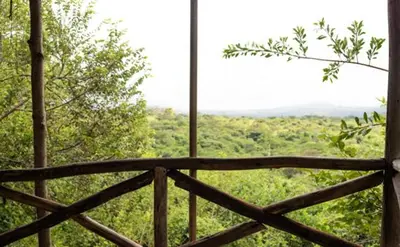 a view of a forest from a wooden balcony at Havennature Safari Camp and Lodge in Namalulu