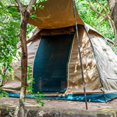 a tent sitting on the ground next to a tree at Havennature Safari Camp and Lodge in Namalulu