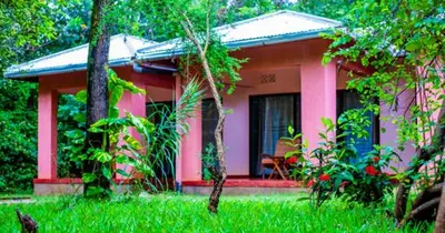 a pink house in the middle of a yard at Havennature Safari Camp and Lodge in Namalulu