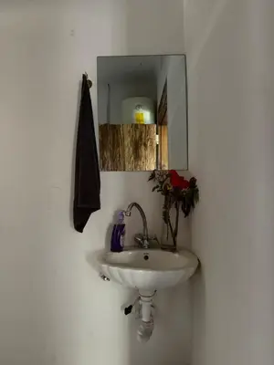 a bathroom with a sink and a mirror at Bomani House in Arusha