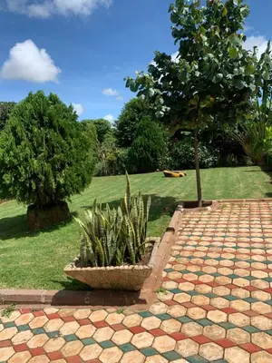a garden with a tree and a brick walkway at Aa peaceful resting home in Karatu