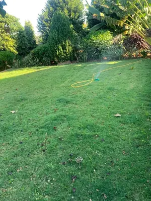 a yard with a hose on the grass at Aa peaceful resting home in Karatu