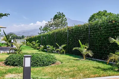 a privacy fence with palm trees in a yard at Smile Apartments Arusha in Arusha