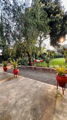 three red benches with potted plants in a park at Sanplay Homes in Arusha