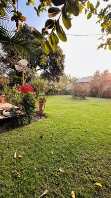 a yard with a green lawn with plants and flowers at Sanplay Homes in Arusha