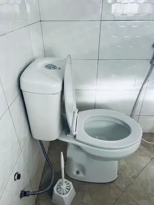 a bathroom with a toilet with a cleaning brush at Osim Bnb in Arusha