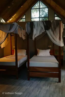 two bunk beds in a room with windows at Naishika Home Stay in Tengeru