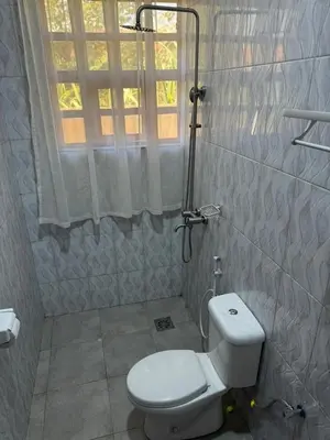 a bathroom with a toilet and a shower with a window at Oasis HomeStay in Arusha