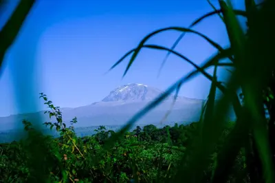 a mountain in the distance with trees in the foreground at Materuni Home Stay in Uru East