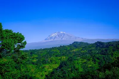 a mountain in the middle of a forest at Materuni Home Stay in Uru East