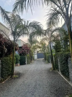 a gravel driveway with palm trees in front of a building at Lavish 2 Bedroom in Arusha
