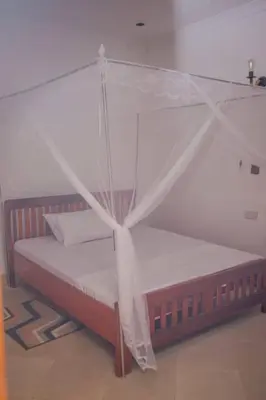 Gallery image of Off Airport Kilimanjaro lodge in Boma la Ngombe