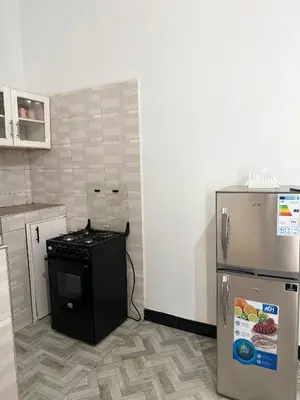 a kitchen with a stove and a refrigerator at Haven Retreat in Arusha