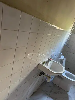 a bathroom with a toilet and a sink at Njiro Rented 3 Bedroom House in Themi