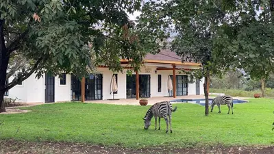 two zebras grazing in the grass in front of a house at Asama House in Usa