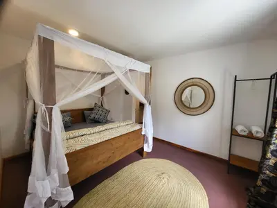 a bedroom with a canopy bed and a mirror at House, towncenter, near to all good restaurants, in Arusha