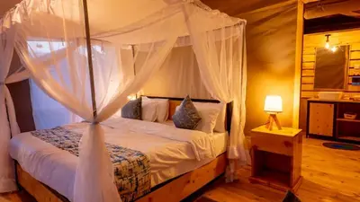 Gallery image of Misako Ndutu Migration Camp in Sinoni