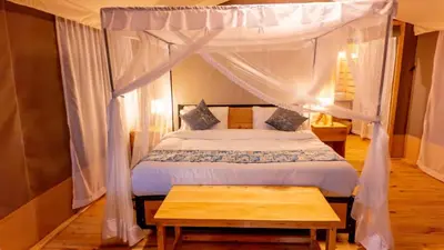 Gallery image of Misako Ndutu Migration Camp in Sinoni