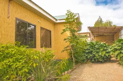 a yellow house with plants in front of it at njiro one in Arusha