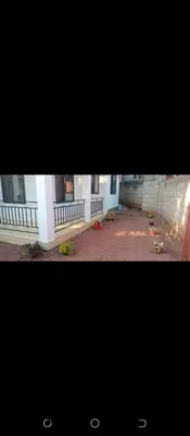 a picture of a building with some kites on the ground at Latricia Home Stay in Moshi