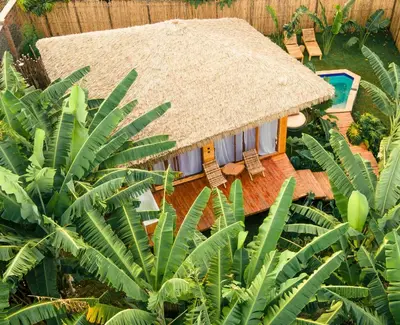 a small house with a straw roof and some plants at Kilimani Villa in Moshi