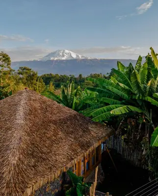 a mountain in the distance with a straw roof at Kilimani Villa in Moshi