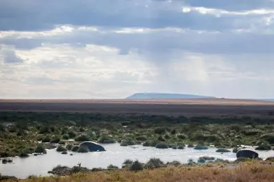 a river in the middle of a field at Mawe Tented Camp in Serengeti