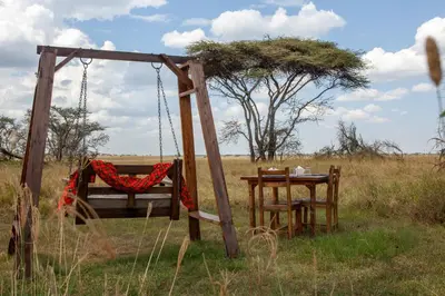 a swing and a table in a field at Mawe Tented Camp in Serengeti