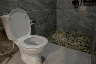 a bathroom with a toilet and a bunch of rocks at Kienyeji Wooden Rest Arusha in Nkoanrua