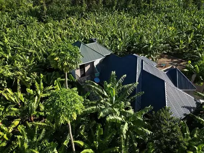 an aerial view of a house in the jungle at Jangwani Riverview Suits in Mto wa Mbu