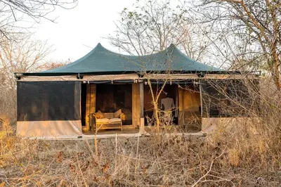 a green tent with a couch in a field at Ndutu Bush Camp in Endulen