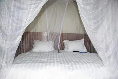 a bed with two pillows and a mosquito net at GreenNest Ranche in Arusha