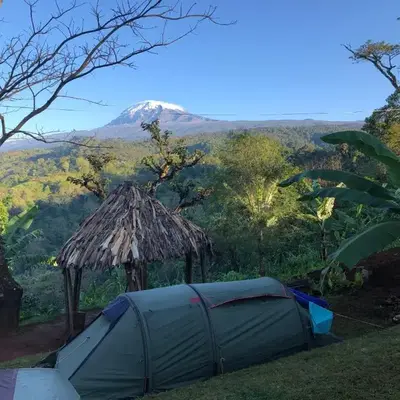 Twende Africa Tours