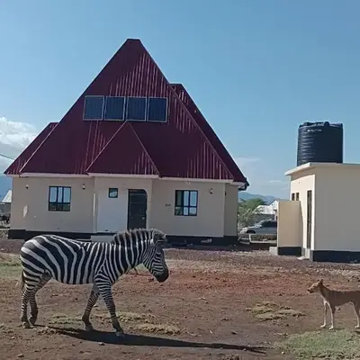 Zebra Homestay