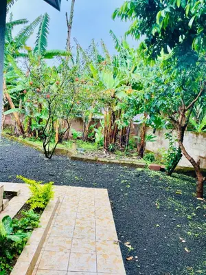 a path in a garden with a bunch of trees at KidotuiVillaHome in Arusha