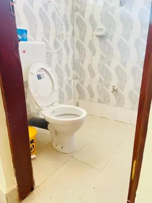 a bathroom with a white toilet in a room at KidotuiVillaHome in Arusha
