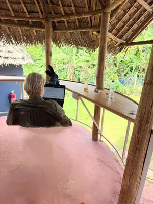 a person sitting at a table with a laptop at Kilimanjaro Forest Lodge and Camping Site in Mdawi