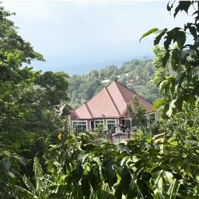 Kilimanjaro Forest Lodge and Camping Site
